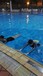 广州康之杰游泳培训成人班在天河区开班晚上上课