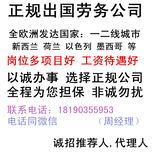 出国劳务建筑农场电子西餐年薪40万图片5