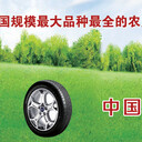 名牌农用轮胎生产厂家直销，500多个品种正品三包一条顶N条
