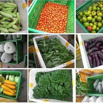 厚街蔬菜配送，食堂承包公司