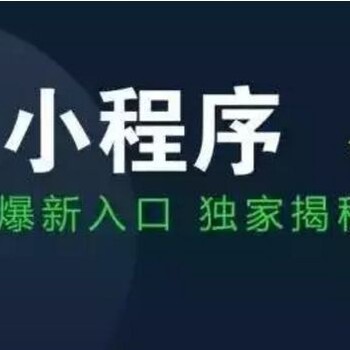 本公司承接各类小程序开发，招商加盟‘零售等；