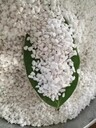 綠蘿珍珠巖廣東綠蘿珍珠巖園藝珍珠巖苗圃珍珠巖