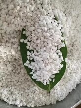 绿萝珍珠岩广东绿萝珍珠岩园艺珍珠岩苗圃珍珠岩图片