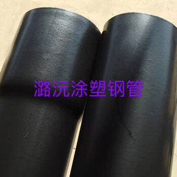 上海热浸塑钢管价格天津潞沅涂塑钢管有限公司