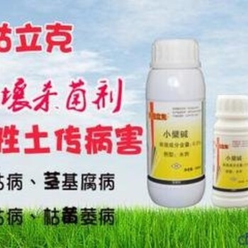 番茄疫病、灰霉病藥--青枯立克