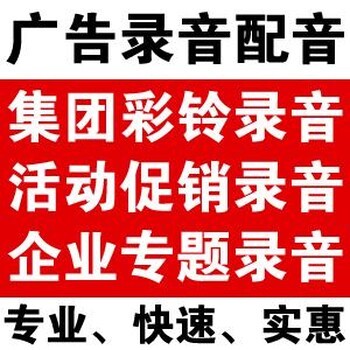 双凤食品公司企业宣传片有声录音老师在线录制