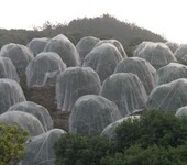 农用防虫网有机蔬菜物理防虫60目加宽网棚