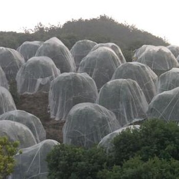 农用防虫网有机蔬菜物理防虫60目加宽网棚