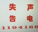 兰州晨报驾驶证挂失电话131-1941-6621图片