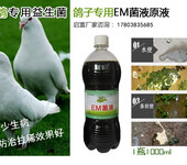 哪里有卖em菌种菌液给雏鸽饮水拌料防肠道病的药