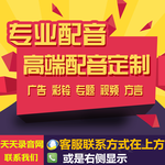 国庆金锣冷鲜肉广告宣传语录音广告录音生成