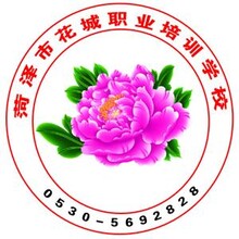 电动汽车维修学校山东花城新能源电动汽车图片