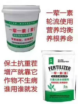 河南易康——一葷一素治療果樹黃化根腐