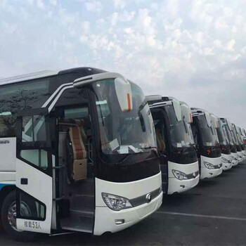 全北京出租大巴车、中巴车、小巴车、商务车
