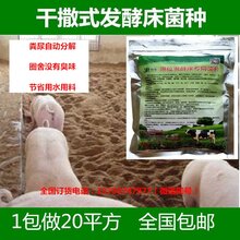 沈阳哪里有卖养猪发酵床菌种图片