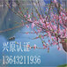 秦皇岛ISO45001新版标准