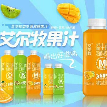 椰泰生榨果汁，饮料加盟代理费用详情