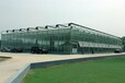 上海蔬菜無土栽培溫室大棚4.5米、自動控溫系統8000平方造價