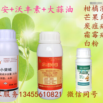 桑葚菌核病治療方案