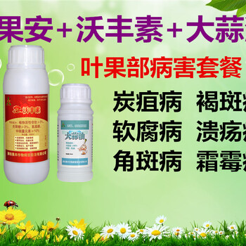 蘋果銀葉病防治方案用靚果安大蒜油定期給藥