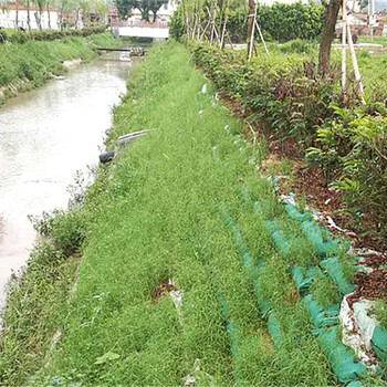 河塘邊坡綠化植草施工隊(duì)廣西三水承接效果好