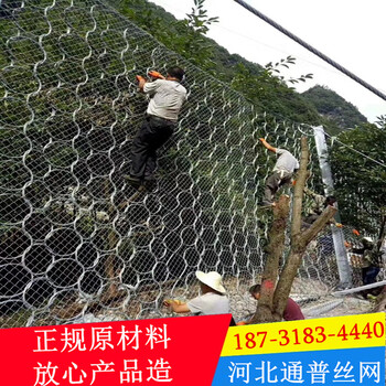 被動(dòng)環(huán)形網(wǎng)A蕭山被動(dòng)環(huán)形網(wǎng)A被動(dòng)環(huán)形網(wǎng)廠家