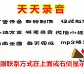 新年冠珠瓷砖方言叫卖录音专业广告