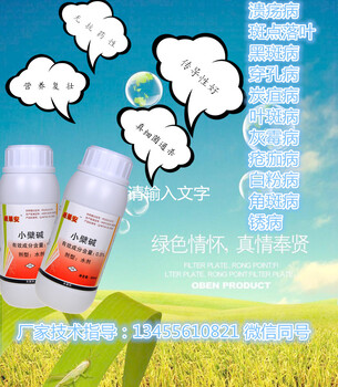 冬茬草莓炭疽病治療藥介紹