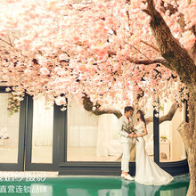 广州兰蔻婚纱摄影_广州婚纱一条街图片(2)