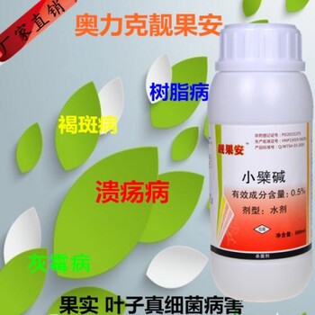 冬季設(shè)施蔬菜常見病害炭疽病的防治