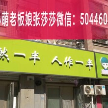 樂小萌奶豆核桃油怎么賣的？樂小萌代理費480嗎？圖片