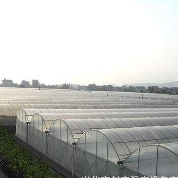 寧夏連棟蔬菜大棚溫室20跨度、建筑面積20000平建造價(jià)格