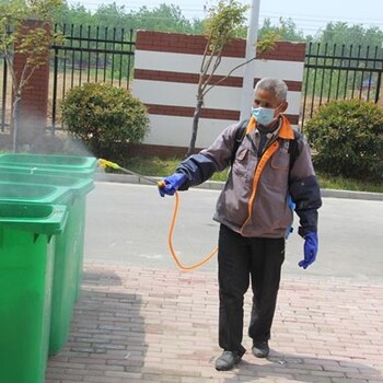 平价上门番禺区灭除虫子害消杀四害白蚂蚁甲醛服务