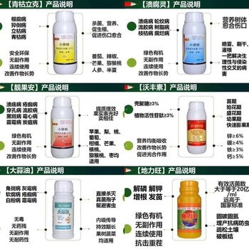 芒果采收后怎么用肥用药