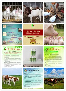 廠家：芽孢桿菌原粉，脫霉劑，反芻產(chǎn)品，發(fā)酵床菌種