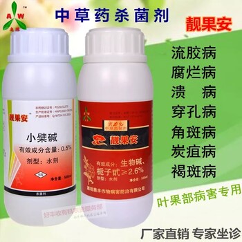 芒果揚(yáng)花期，你準(zhǔn)備好了嗎？