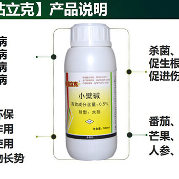 番茄青枯病什么原因番茄青枯病用什么藥效果好