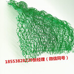 边坡防护网(固力边坡)三维植被网全国促销价格便宜质量上乘
