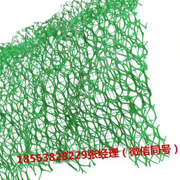 泰安腾路现货供应边坡防护三维植被网价格实惠质量