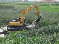 银川市--湿地挖掘机--水上挖掘机出租--沼泽挖掘机出租图片2