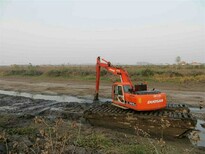 贵阳-水上挖掘机出租-水陆挖掘机出租图片1