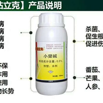 三七冬季管理要點及病害防治措施
