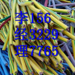 北京东城区电缆回收技术鉴定-废旧电缆回收价格图片5