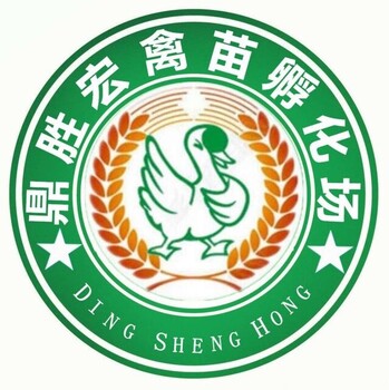 昆明鹅苗批广西鹅苗批发