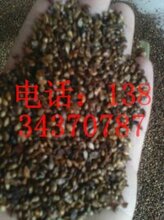 杜梨子,棠梨子图片