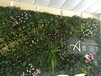 北京哪家做仿真绿植墙好专业设计仿真植物墙花墙安装