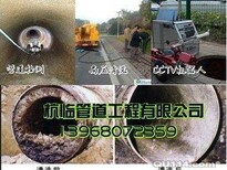 西湖区龙坞镇清理化粪池8791-8959图片1