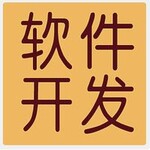 国内大型软件设计开发公司排名