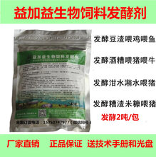 猪吃泔水拉稀怎么办图片
