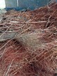 霸州市专业回收各种废紫铜排废电缆高价回收